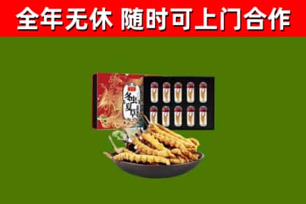 龙海烟酒回收冬虫夏草礼盒.jpg